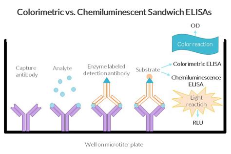 elisa kit vegf|chemiluminescence vs elisa.